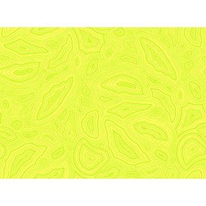 Tula Pink True Colors Mineral Citrine Cotton