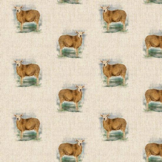 Sheep All Over