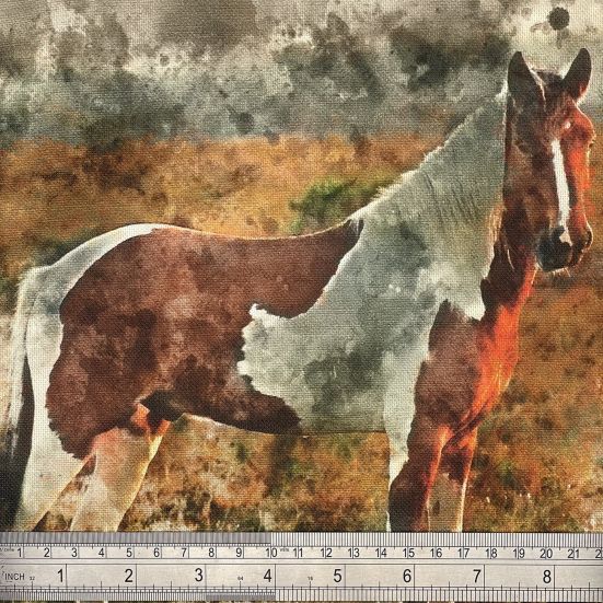 Wild Horse Canvas Art Panel