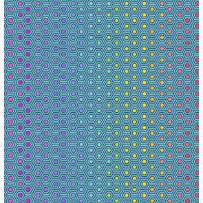 Tula Pink True Colors Hexy Rainbow Peacock Cotton