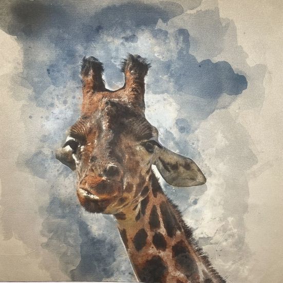 Giraffe Canvas Art Panel