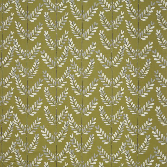 Scandi Sprig Kiwi