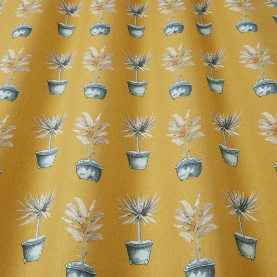 Glasshouse Pots Ochre