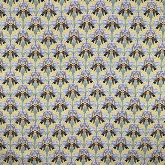 Maurice Pillard Verneuil Hummingbirds Cotton