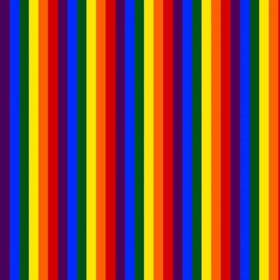 Rainbow stripe small polycotton
