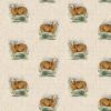 Sheep All Over