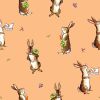 Winne Characters Rabbit Cotton
