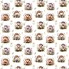 Meadow Hedgehog Polycotton