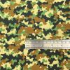Camouflage 1