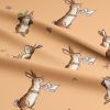 Winne Characters Rabbit Cotton